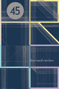 Harvard Review 45