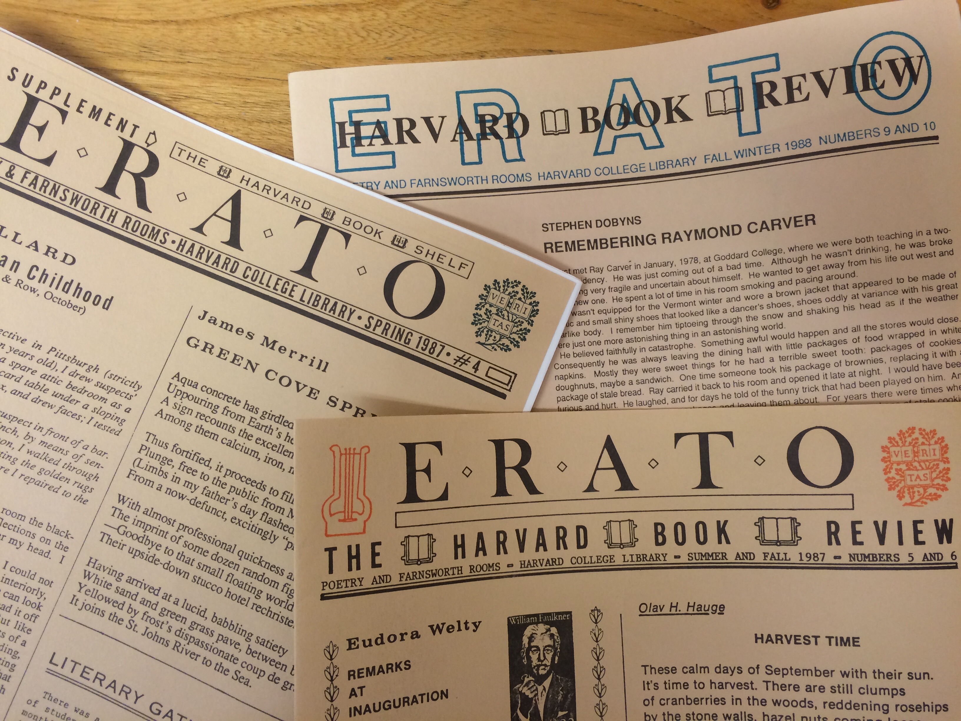 how to write a book review for university erato HBR.jpg