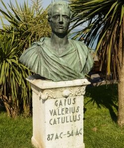 Catullus sparrow Catullus sparrow