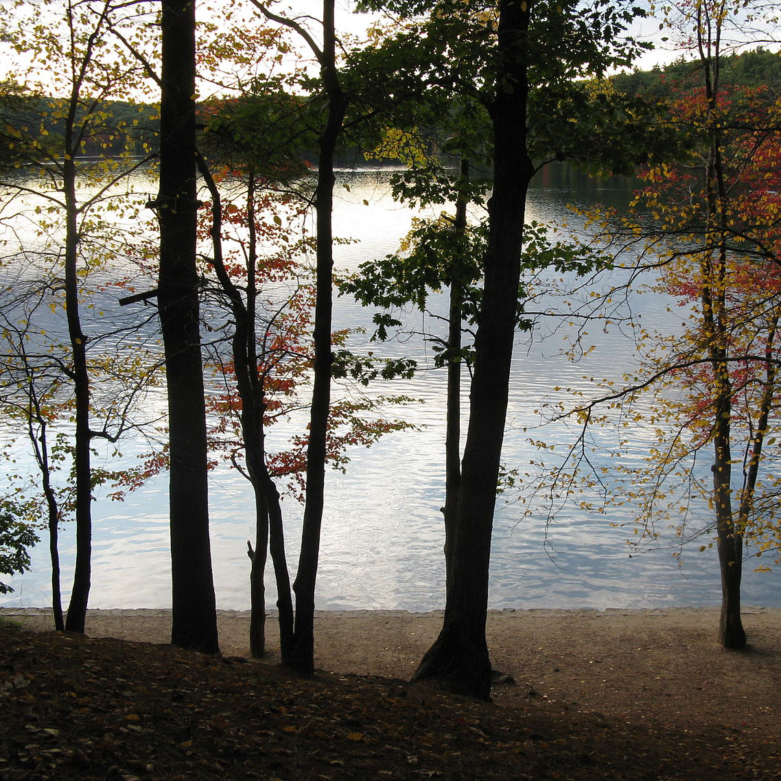 Walden Pond