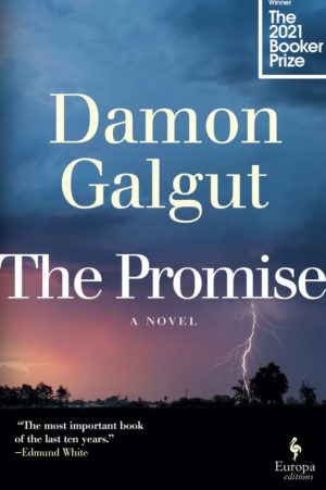 book review the promise by damon galgut