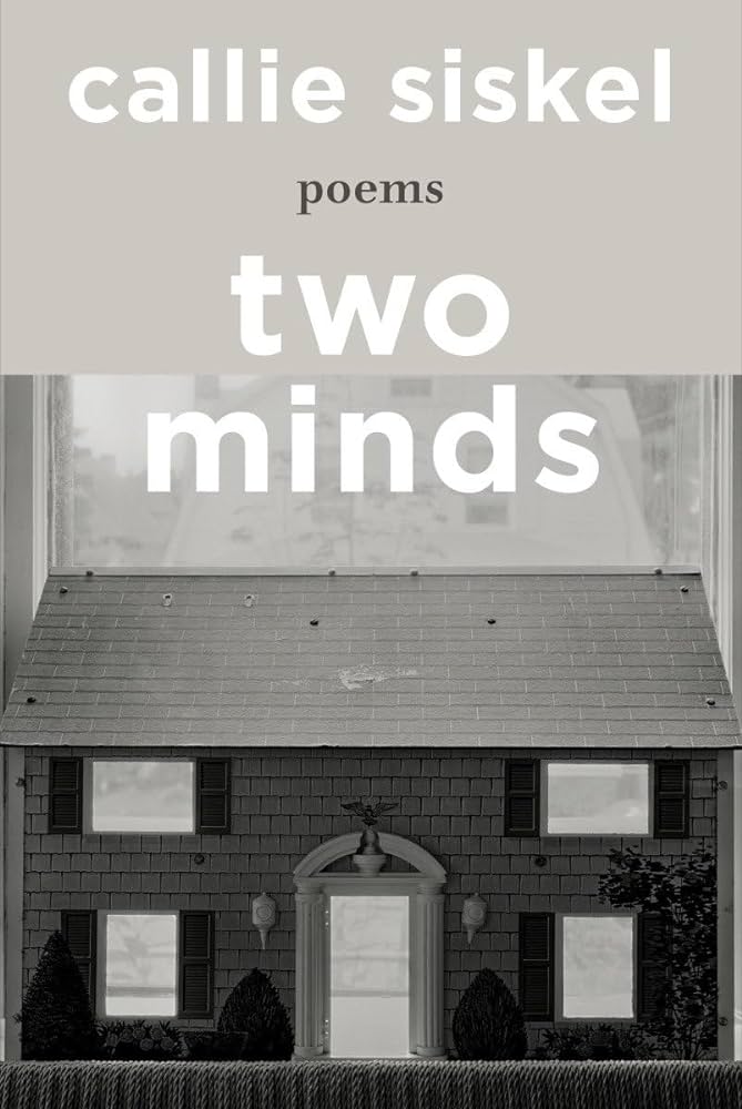 cover of TWO MINDS